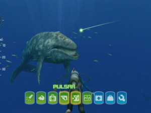 Endless Ocean 2 : aventuriers des fonds marins - Wii