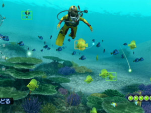 Endless Ocean 2 : aventuriers des fonds marins - Wii