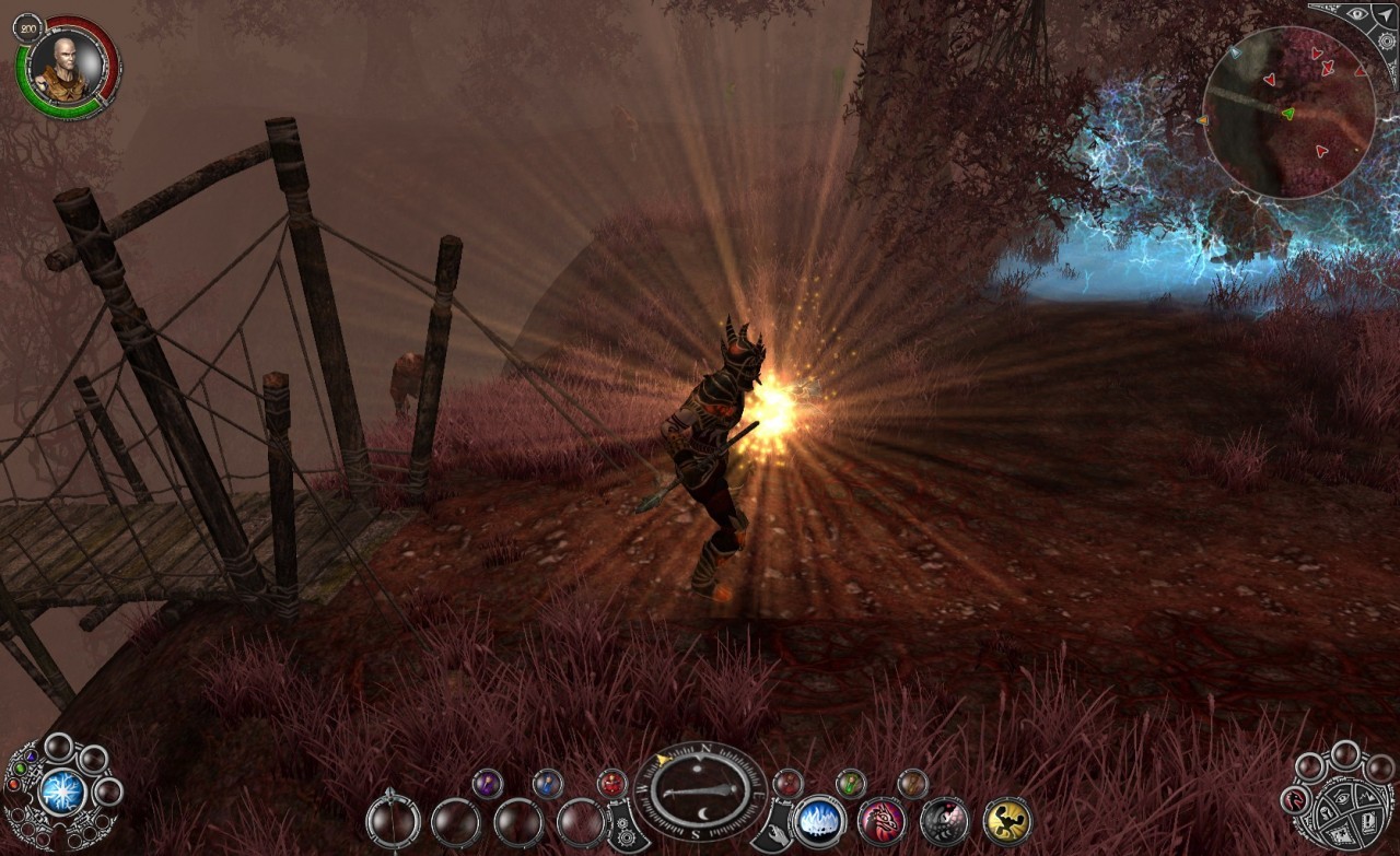 Sacred 2 : Fallen Angel - Ice & Blood - PC