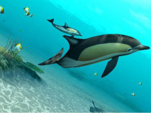Endless Ocean 2 : aventuriers des fonds marins - Wii
