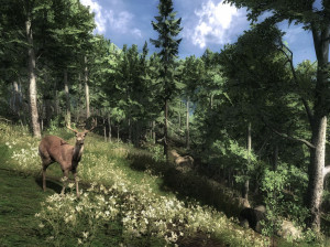 Cabela's Outdoor Adventures - PS3