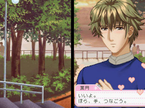 Tokimeki Memorial : Girl's Side 1st Love Plus - DS