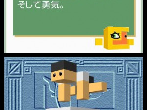 Picross 3D - DS