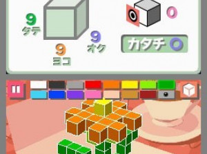 Picross 3D - DS