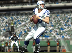 Madden NFL 11 - Wii