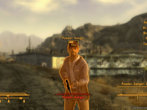 Fallout New Vegas - PC