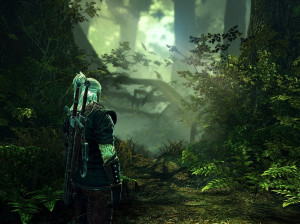 The Witcher 2 : Assassins of Kings - PC