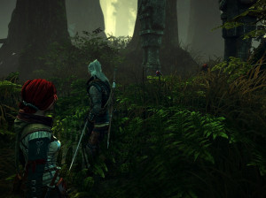 The Witcher 2 : Assassins of Kings - PC