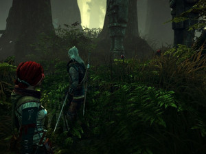 The Witcher 2 : Assassins of Kings - PC