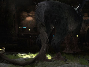 The Last Guardian - PS3