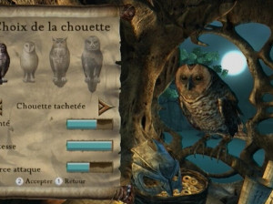 Le Royaume de Ga'Hoole : La Légende des Gardiens - Le Jeu Vidéo - Wii