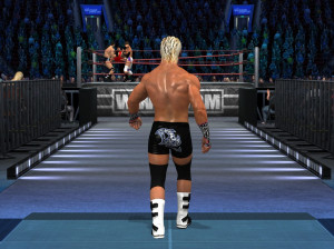 WWE Smackdown vs Raw 2011 - PS3