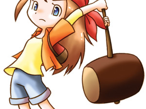 Harvest Moon : Frantic Farming - DS