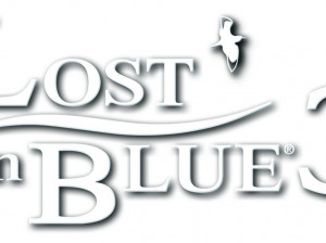 Survival Kids : Lost In Blue 3 - DS