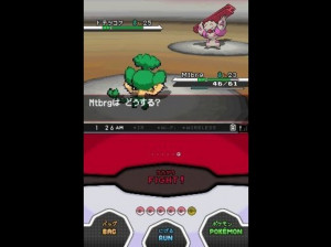 Pokémon Version Blanche - DS