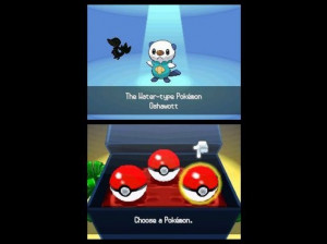 Pokémon Version Blanche - DS