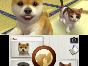 Nintendogs + Cats - 3DS