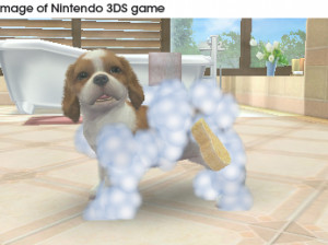 Nintendogs + Cats - 3DS