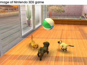 Nintendogs + Cats - 3DS