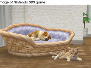 Nintendogs + Cats - 3DS