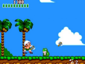 New Adventure Island - Wii