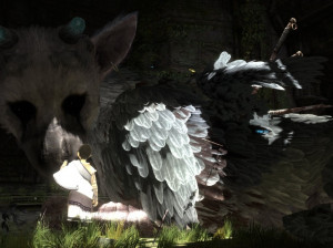 The Last Guardian - PS3