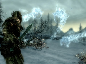 The Elder Scrolls V : Skyrim - PC