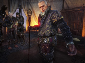 The Witcher 2 : Assassins of Kings - PC