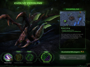 Starcraft II : Heart of the Swarm - PC