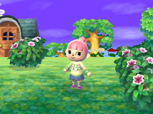 Animal Crossing : New leaf - 3DS