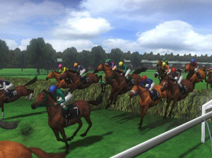 Champion Jockey : G1 Jockey & Gallop Racer - Wii