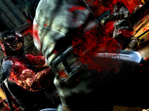 Ninja Gaiden 3 - PS3