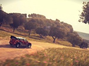 WRC 2 - PC