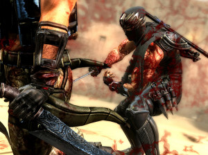 Ninja Gaiden 3 - PS3