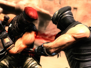 Ninja Gaiden 3 - PS3