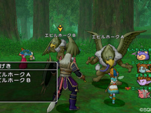 Dragon Quest X - Wii