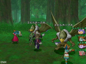 Dragon Quest X - Wii