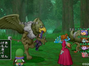 Dragon Quest X - Wii