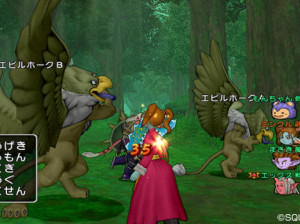 Dragon Quest X - Wii