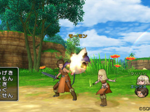 Dragon Quest X - Wii