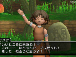 Dragon Quest X - Wii