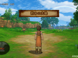 Dragon Quest X - Wii