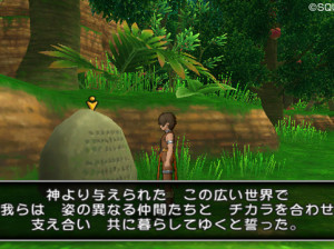 Dragon Quest X - Wii