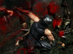 Ninja Gaiden 3 - PS3