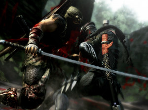 Ninja Gaiden 3 - PS3