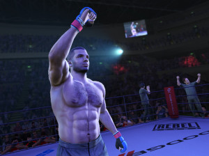 UFC Undisputed 3 - PS3