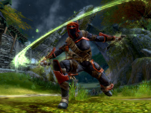 Kingdoms of Amalur : Reckoning - PC