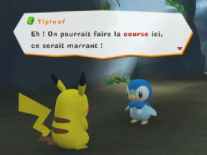 PokéPark 2 : Le Monde des Voeux - Wii