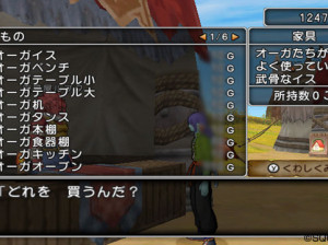 Dragon Quest X - Wii