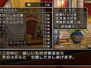 Dragon Quest X - Wii